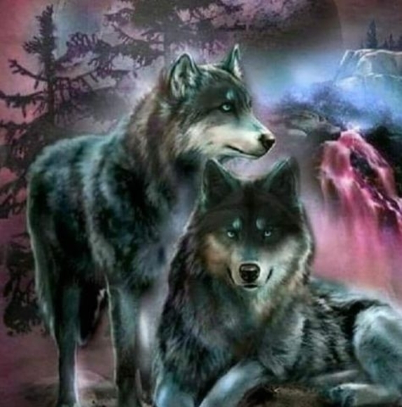 Meet the Posher Other - Meet your Posher, Kellie